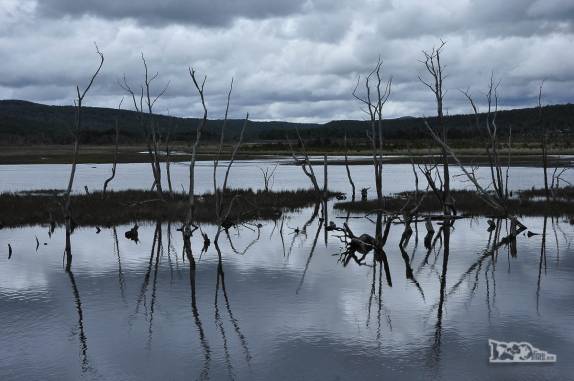 Lago fagnano, perto de Tolhuin, pequena cidade na região de Ushuaia, no sul da Terra do Fogo, Argentina